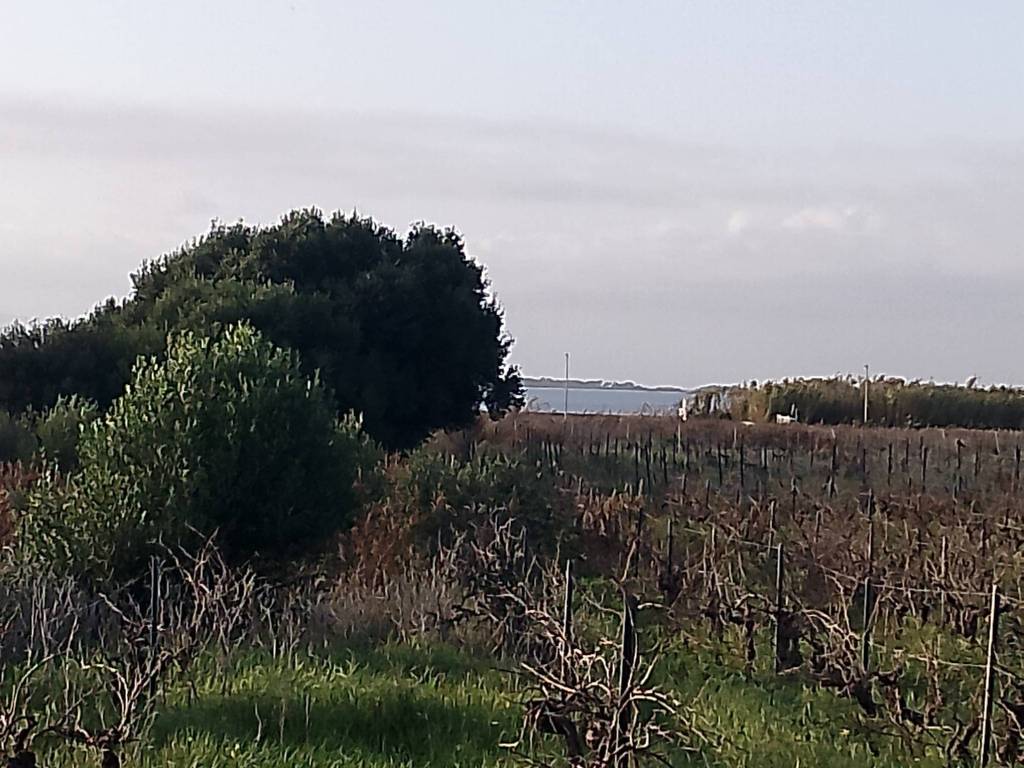 Villa a Marsala in Contrada Ettore Infersa - Foto 5