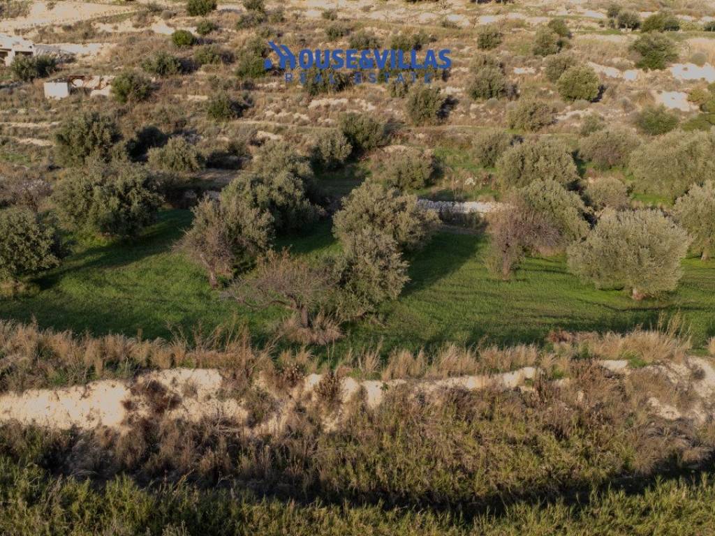 Terreno a Avola in Sanghitello - Foto 3