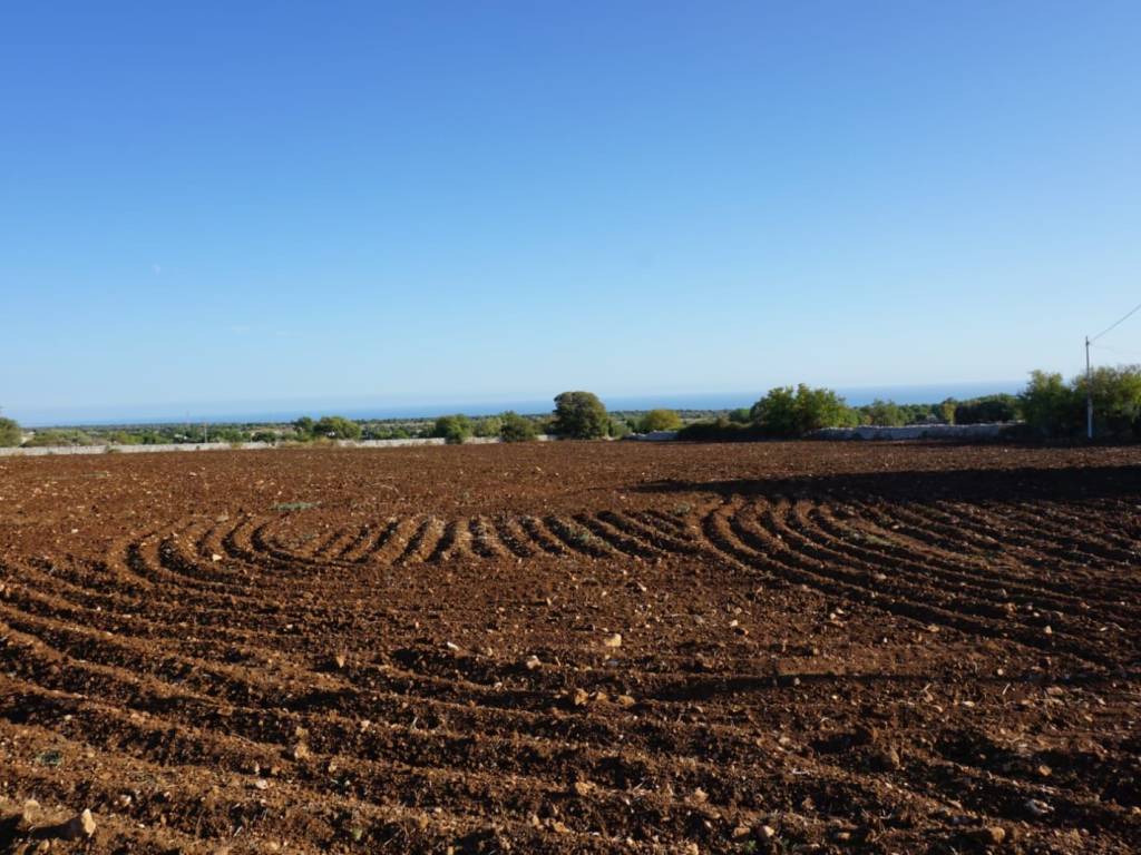 Rustico / casale a Modica in Contrada Quartarella Serraucelli - Foto 4