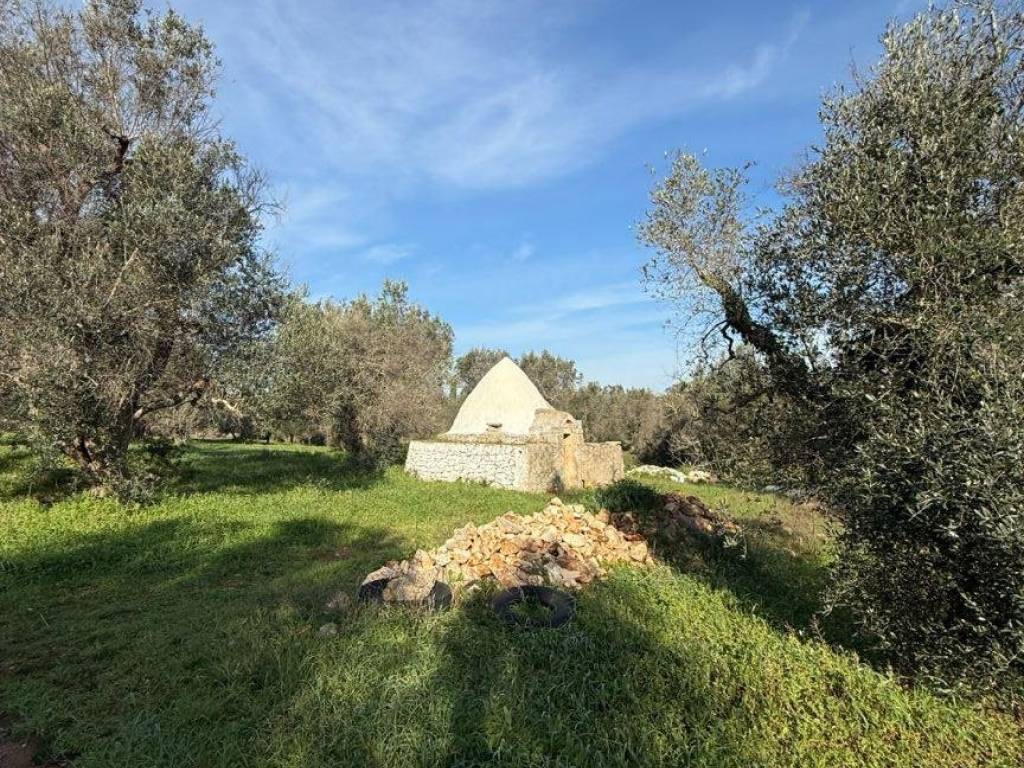 Terreno a San michele salentino in Contrada Cotugni - Foto 4