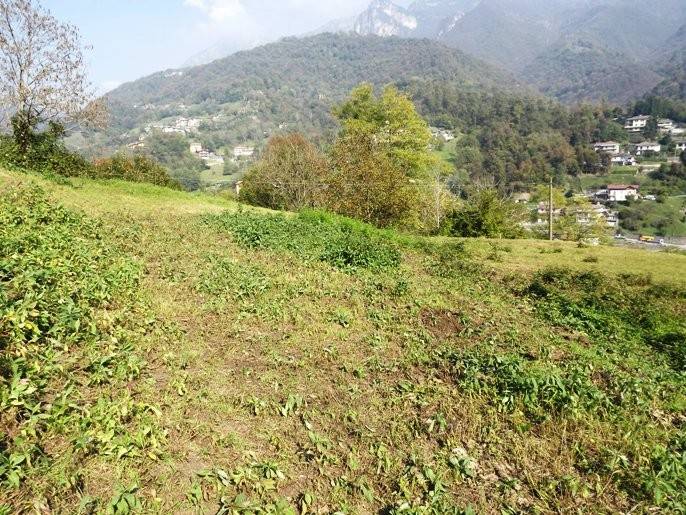 Terreno a Val brembilla in Via Lera - Foto 2
