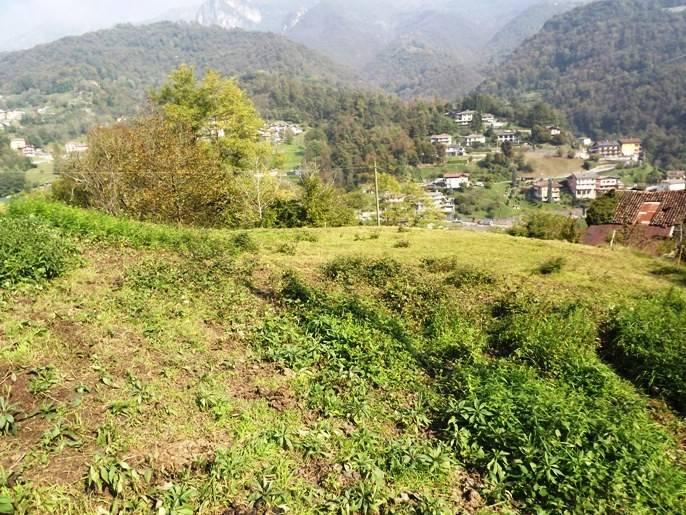 Terreno a Val brembilla in Via Lera - Foto 3
