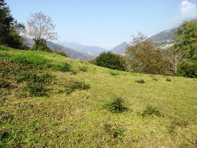 Terreno a Val brembilla in Via Lera - Foto 4