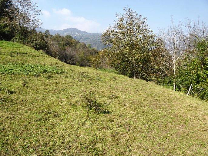 Terreno a Val brembilla in Via Lera - Foto 5