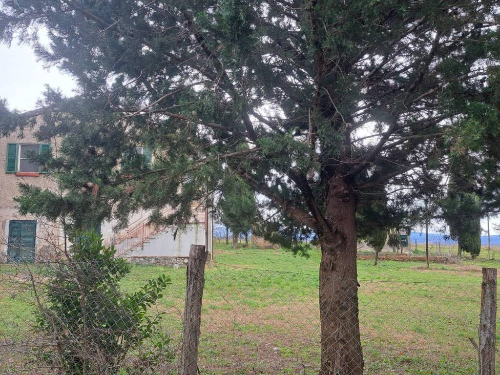 Rustico / casale a Campagnatico - Foto 2