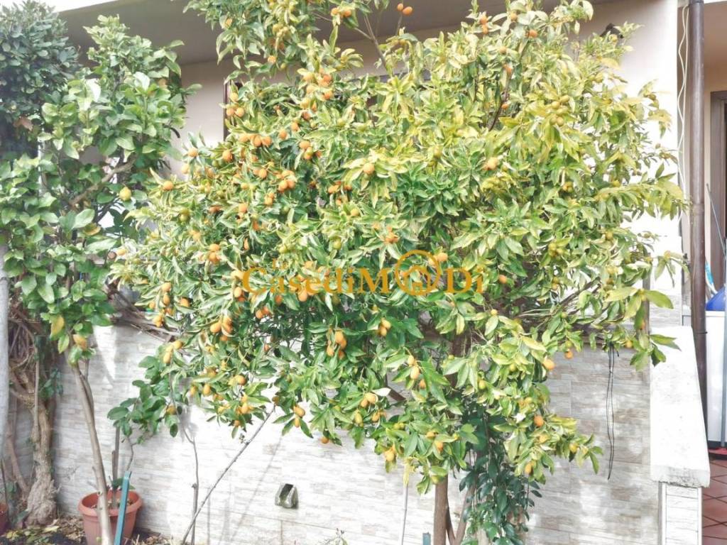 Villetta a schiera a Livorno in Via Provinciale Pisana, , 57121 - Foto 4