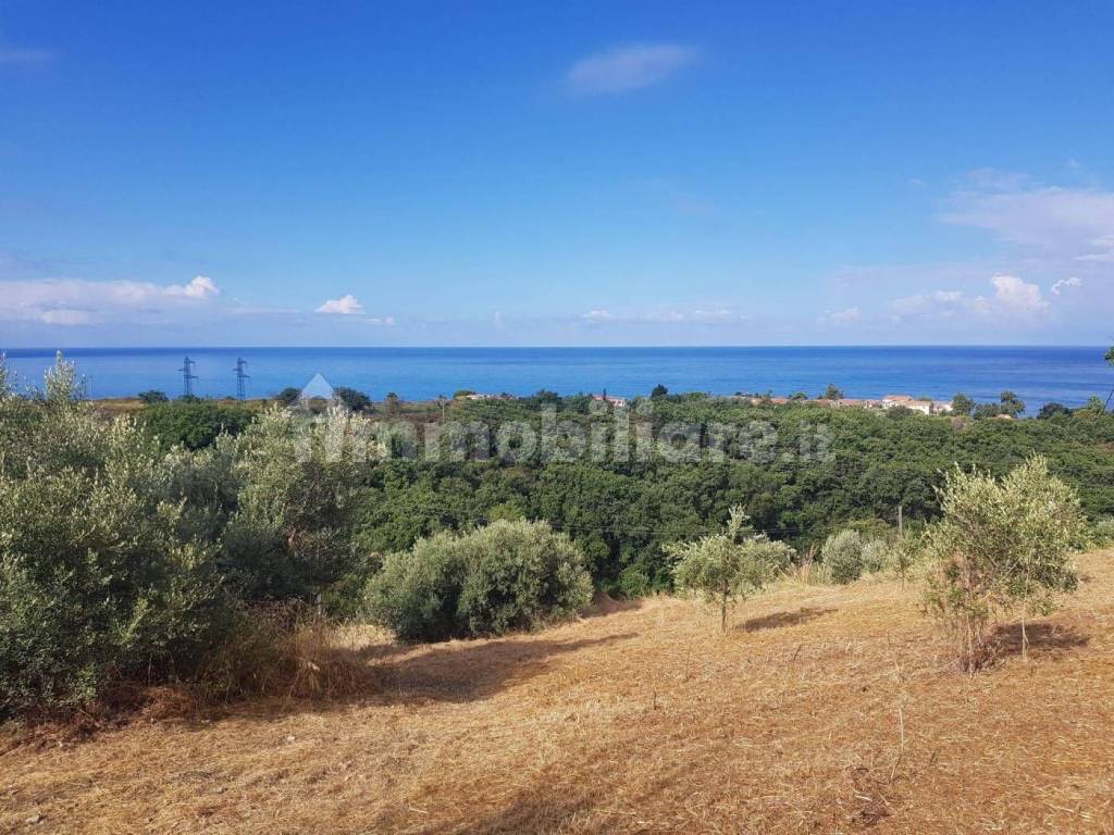 Terreno a Belvedere marittimo in Contrada Quattromani - Foto 5