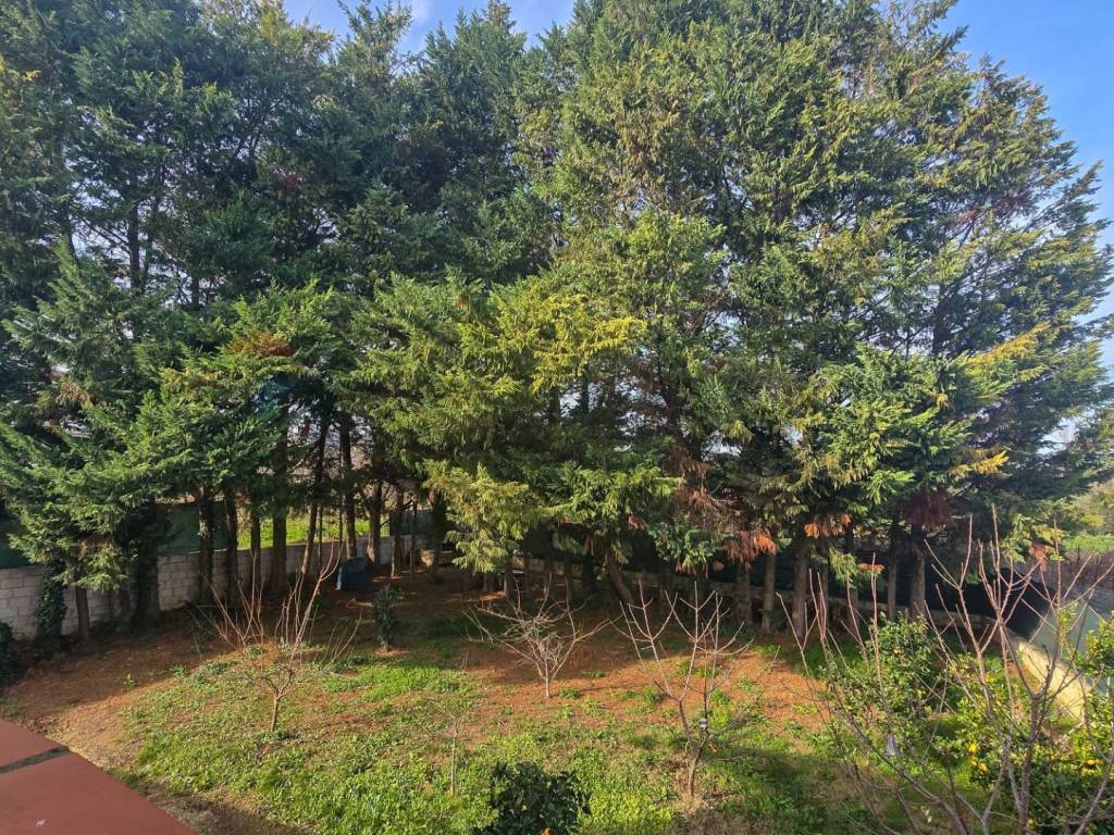 Casa indipendente a Miglianico in Contrada san Pantaleone Piane, 162 - Foto 5