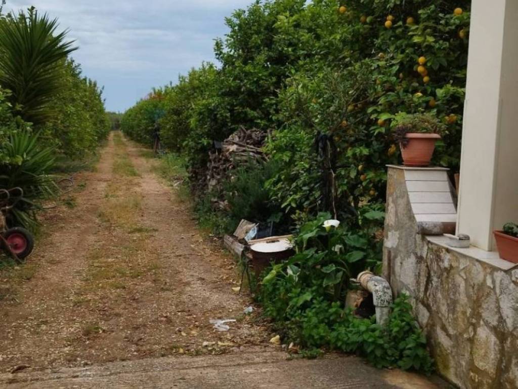 Terreno a Noto - Foto 3