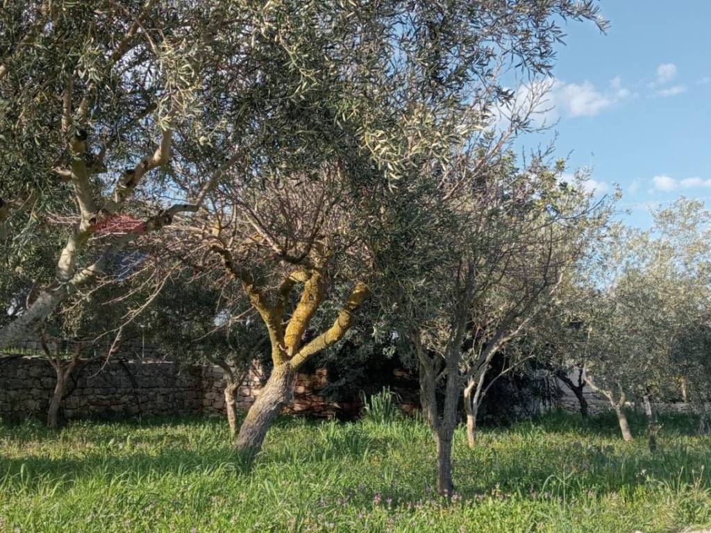 Appartamento a Modica - Foto 4