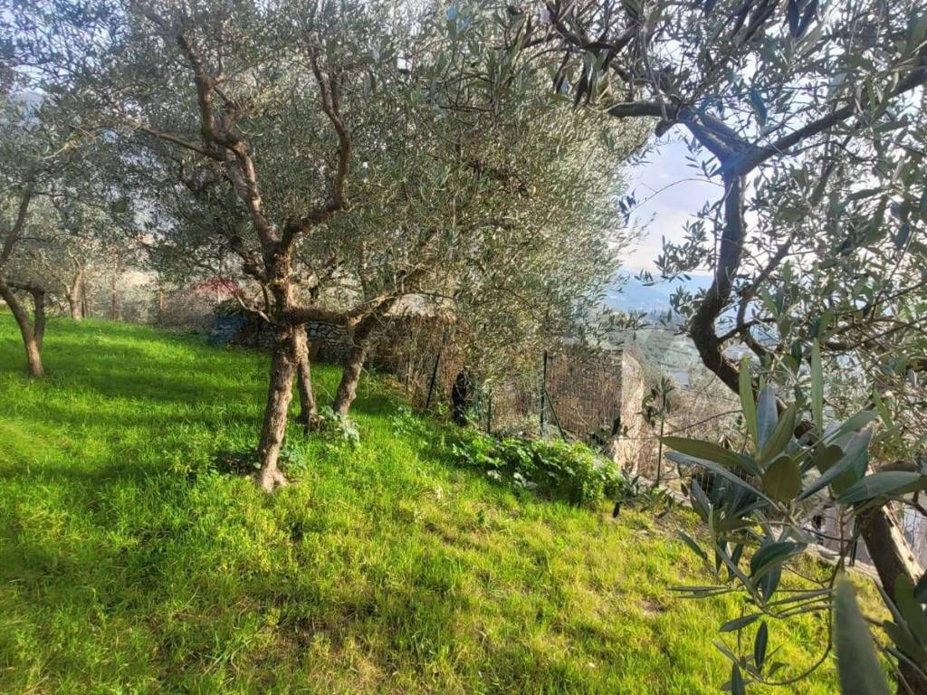 Rustico / casale a Trevi in LOC. CASTELLINA, 5 - Foto 3