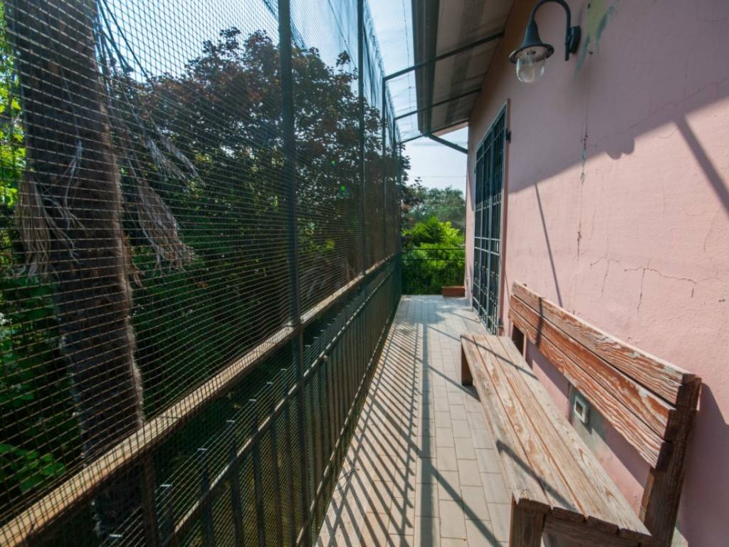 Villa a Sarzana in LOCALITA BRADIOLA , 7 - Foto 5