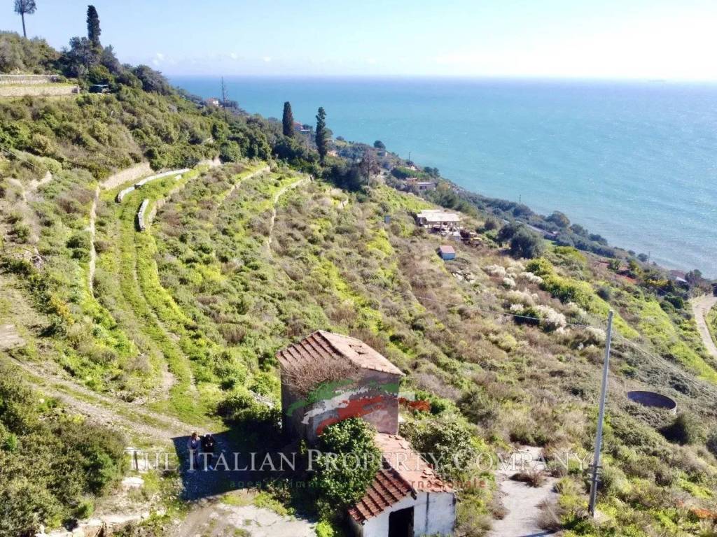 Terreno a Cipressa in Via Cascione - Foto 2