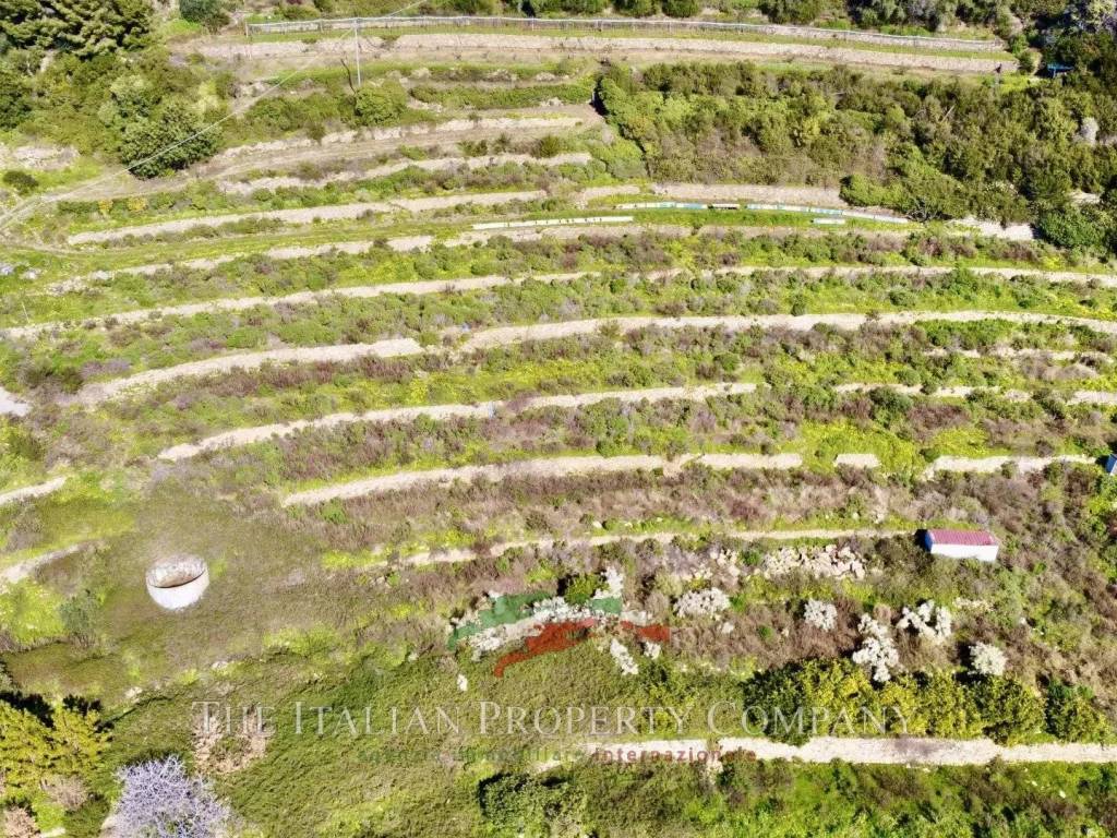 Terreno a Cipressa in Via Cascione - Foto 3