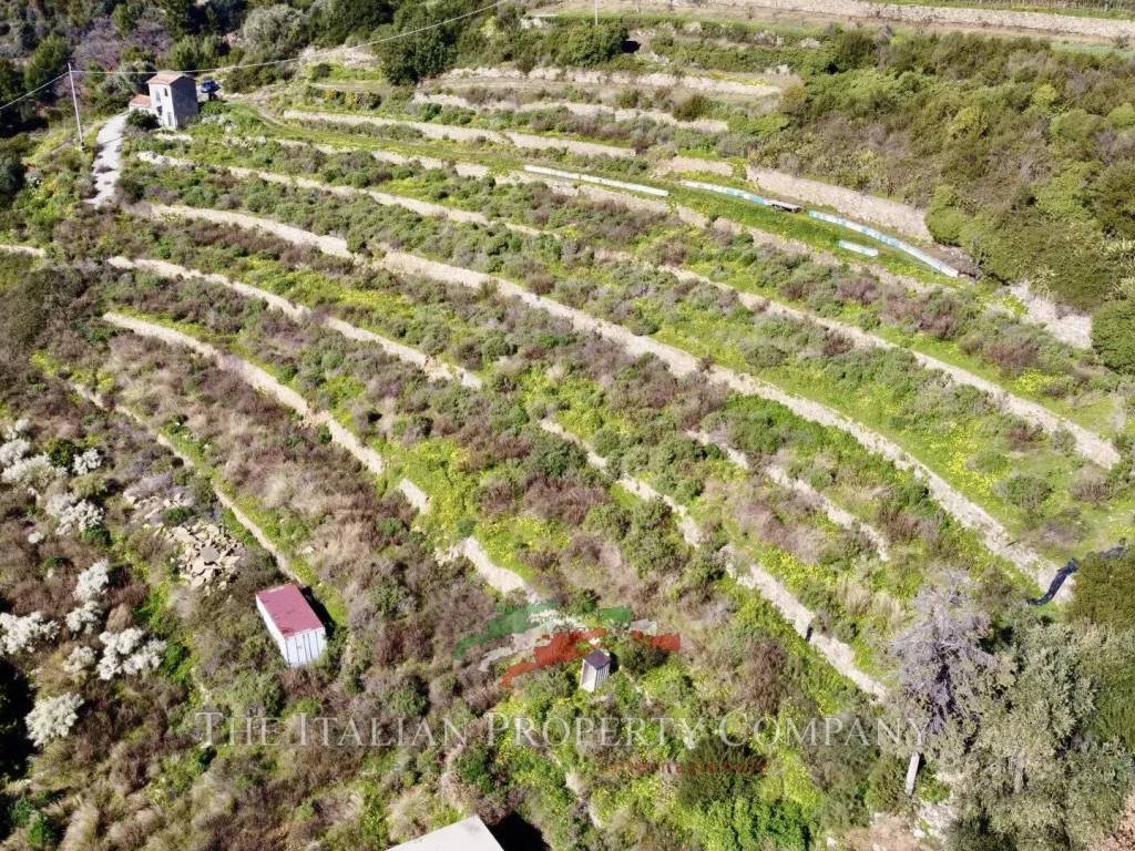 Terreno a Cipressa in Via Cascione - Foto 4