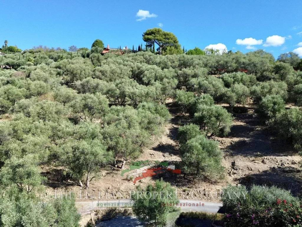 Terreno a Imperia in Strada Vasia, 45a - Foto 4