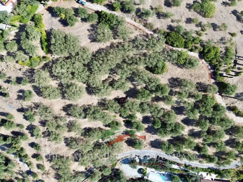 Terreno a Imperia in Strada Vasia, 45a - Foto 5