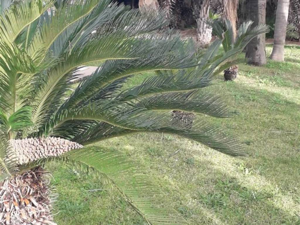 Villa a Sabaudia - Foto 3