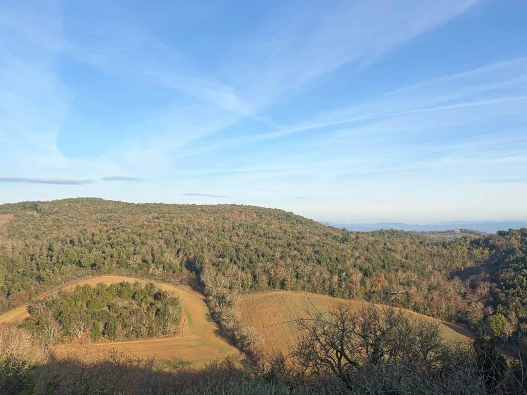 Rustico / casale a Murlo in , - Foto 5