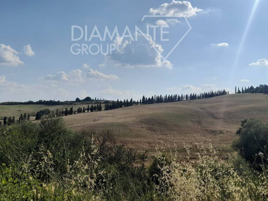 Terreno a San casciano dei bagni - Foto 3