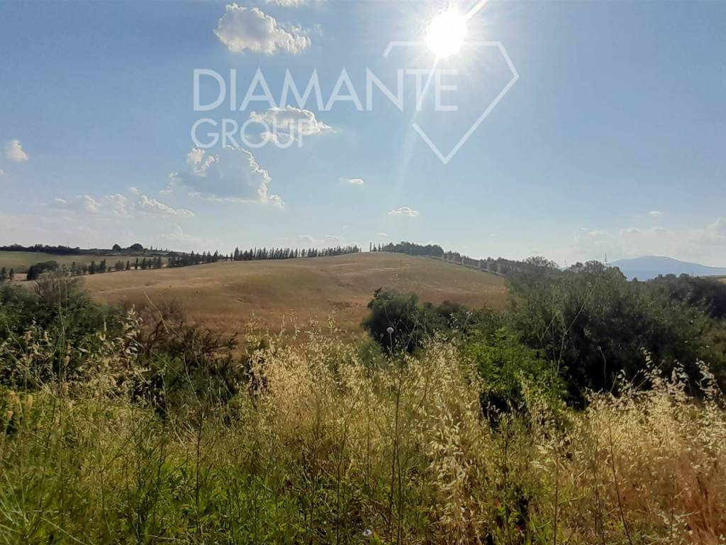 Terreno a San casciano dei bagni - Foto 5