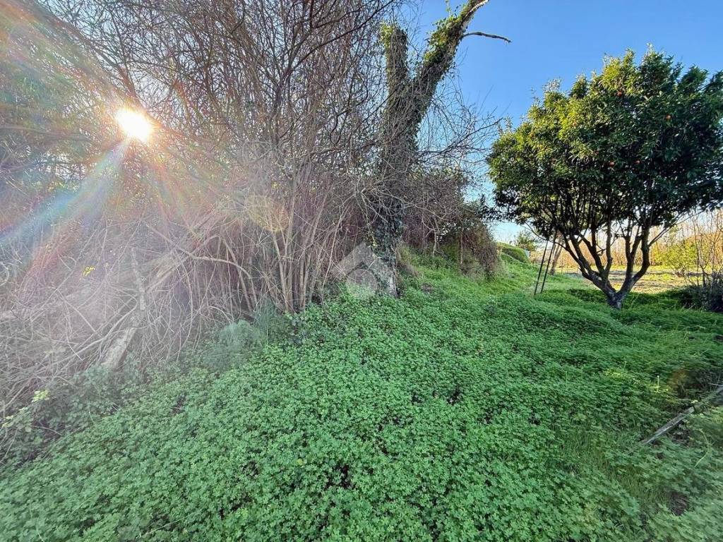 Rustico / casale a Barano d'ischia in Via Schiappone, 100 - Foto 3