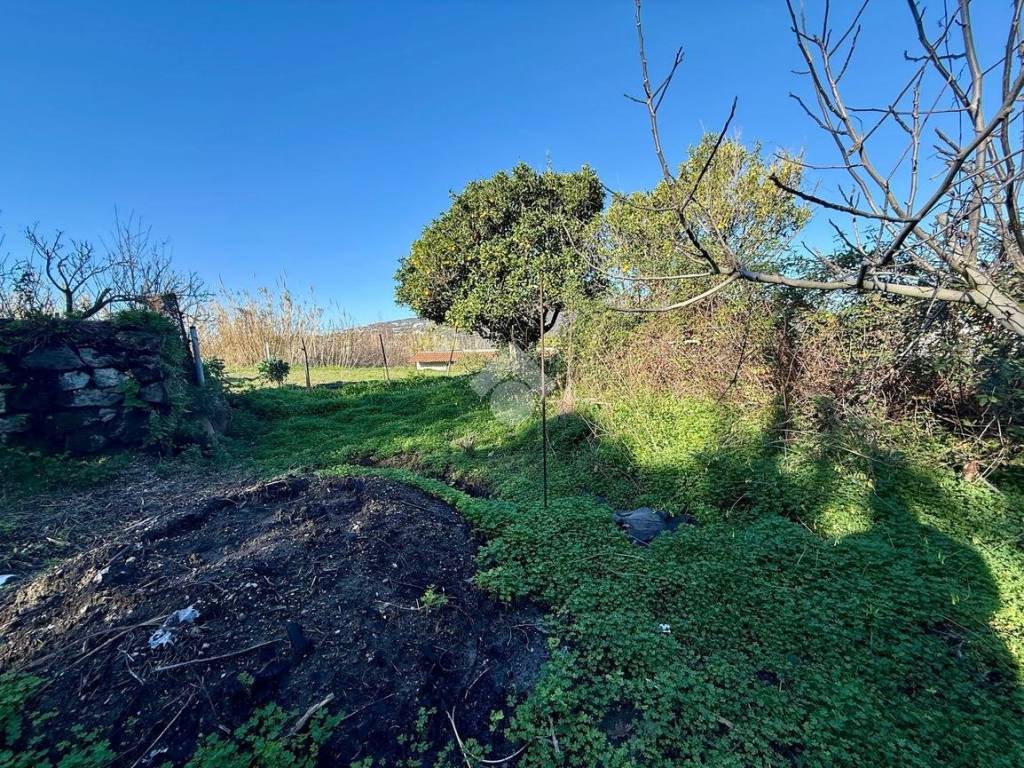 Rustico / casale a Barano d'ischia in Via Schiappone, 100 - Foto 4