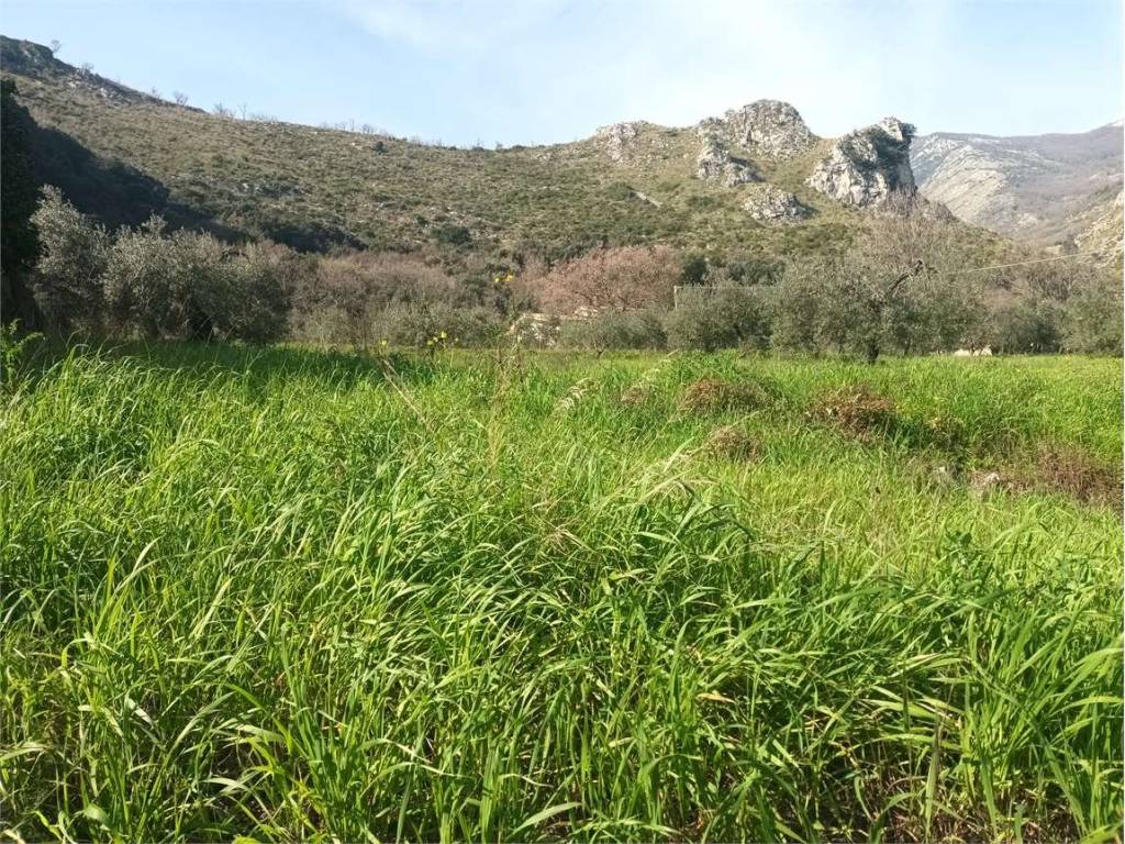 Terreno a Spigno saturnia - Foto 3
