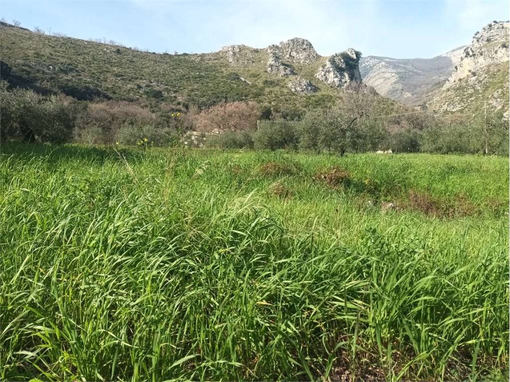 Terreno a Spigno saturnia - Foto 4