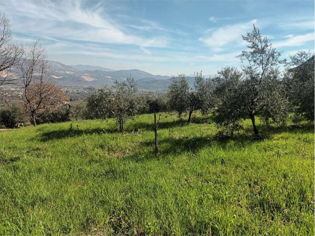 Terreno a Spigno saturnia - Foto 5