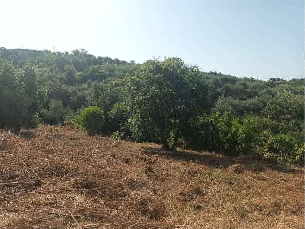 Rustico / casale a Gaeta - Foto 5