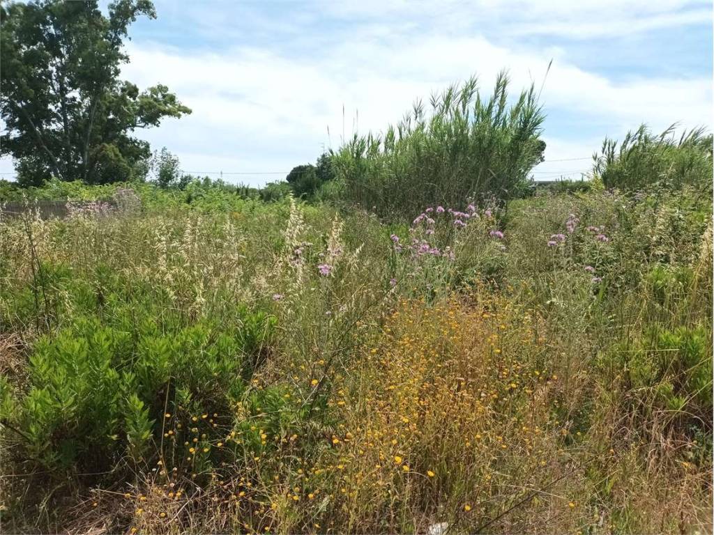 Terreno a Formia - Foto 2