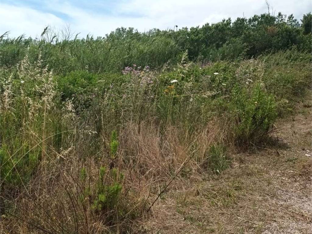 Terreno a Formia - Foto 3