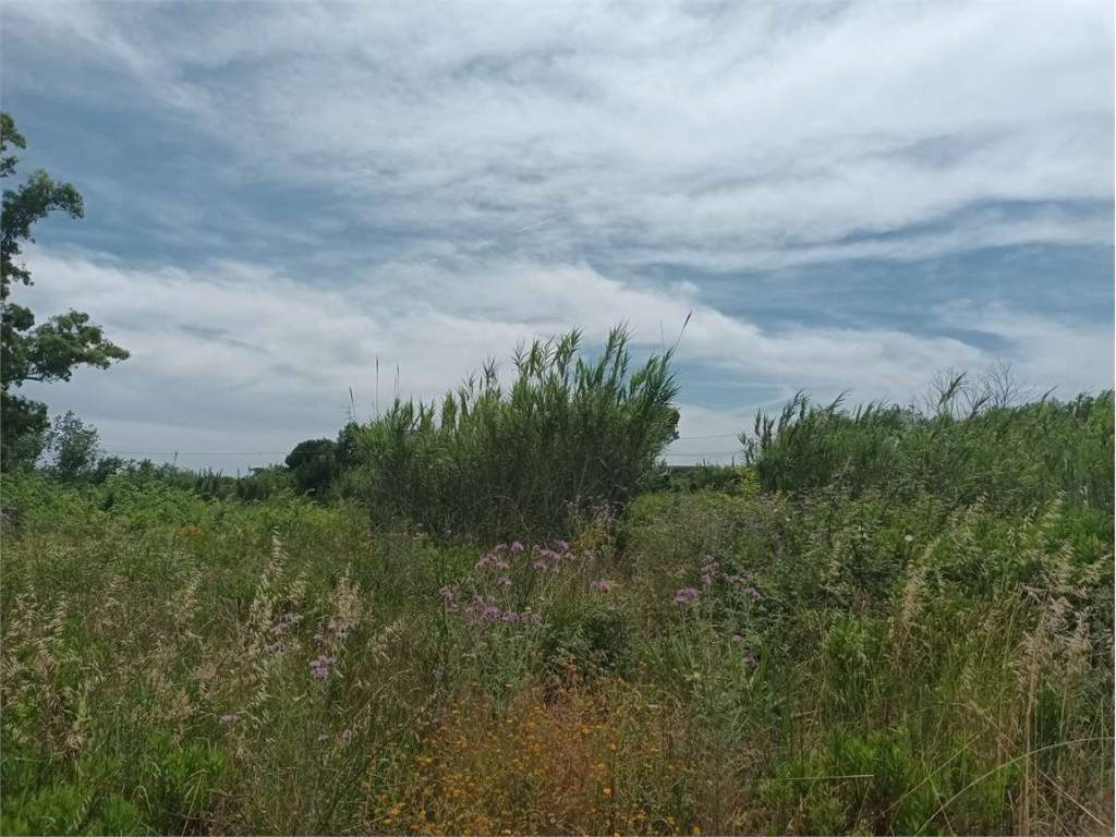 Terreno a Formia - Foto 4