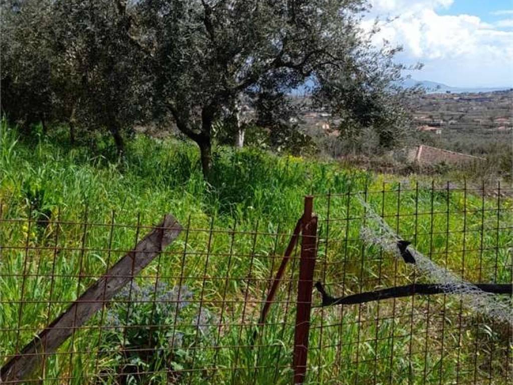 Rustico / casale a Formia - Foto 4