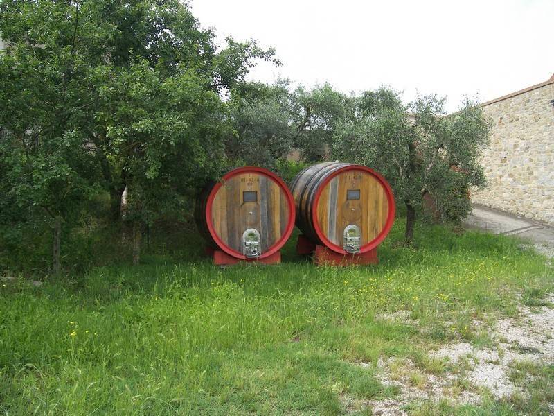 Terreno a Montalcino - Foto 4