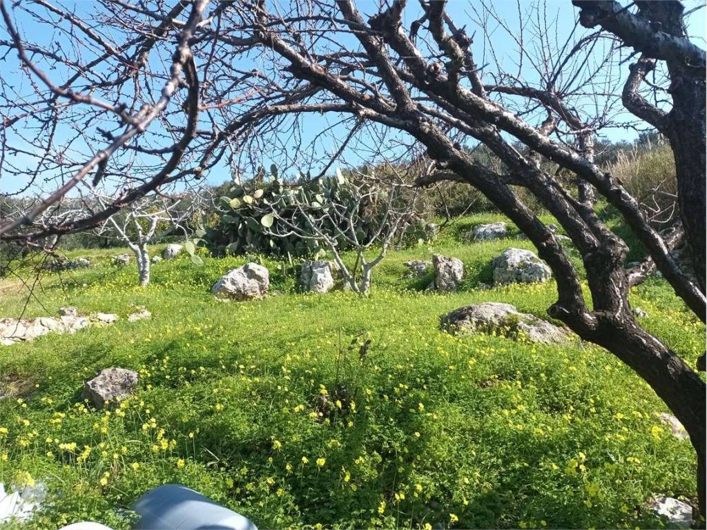 Terreno a Gaeta - Foto 3