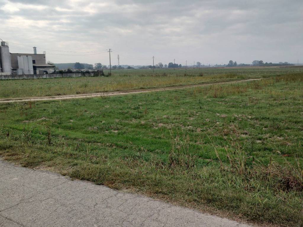 Terreno a Badia pavese - Foto 4