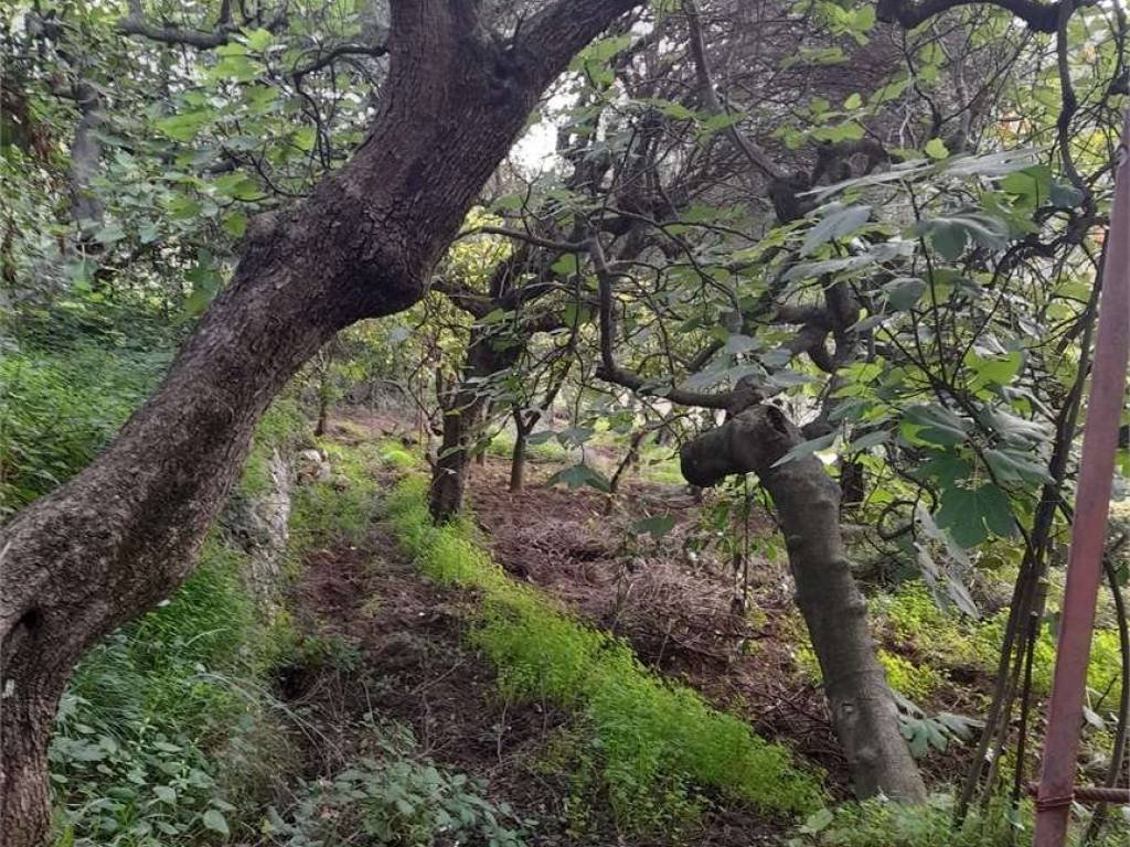 Terreno a Formia - Foto 2