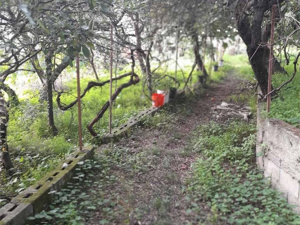 Terreno a Formia - Foto 3