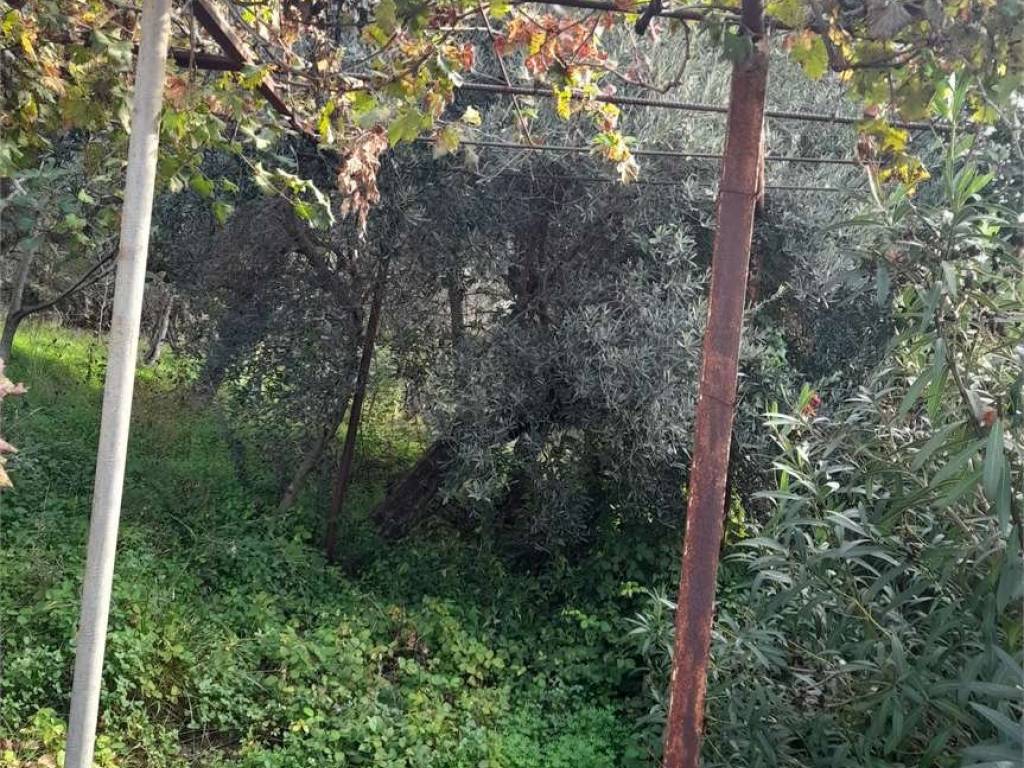 Terreno a Formia - Foto 4