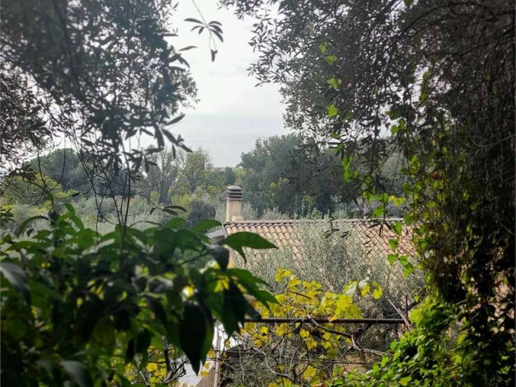 Terreno a Formia - Foto 5