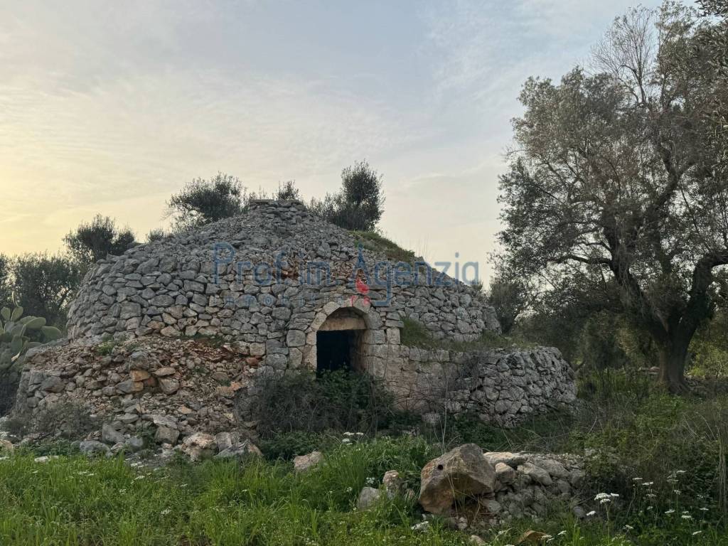 Rustico / casale a Carovigno - Foto 2