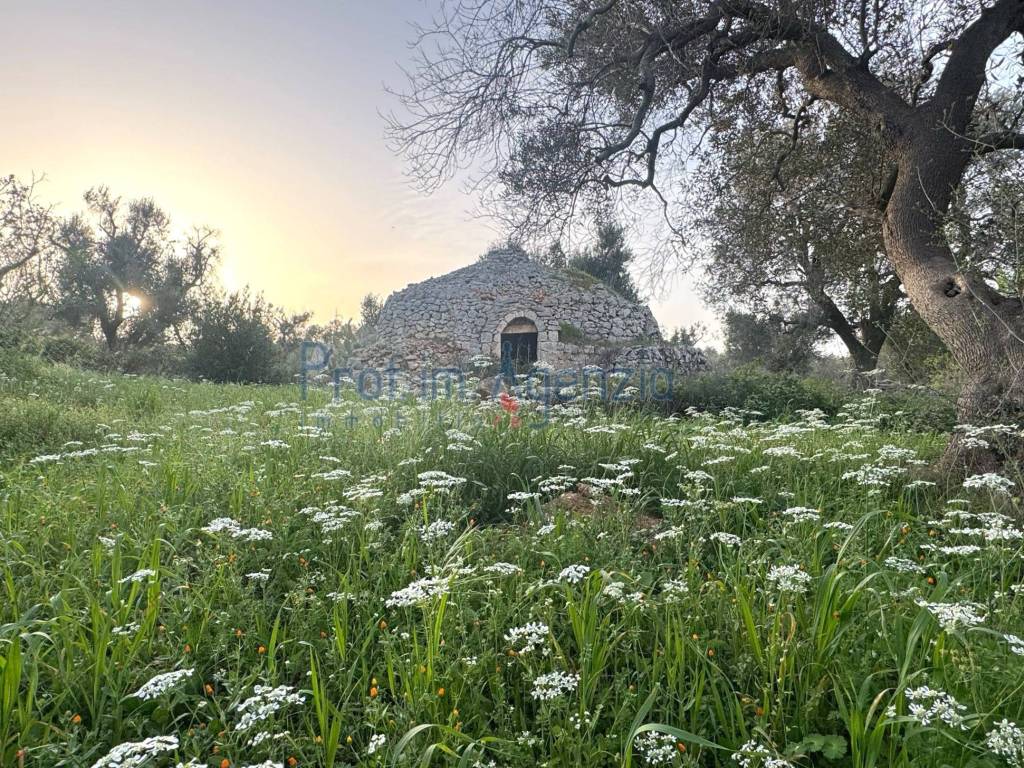 Rustico / casale a Carovigno - Foto 4