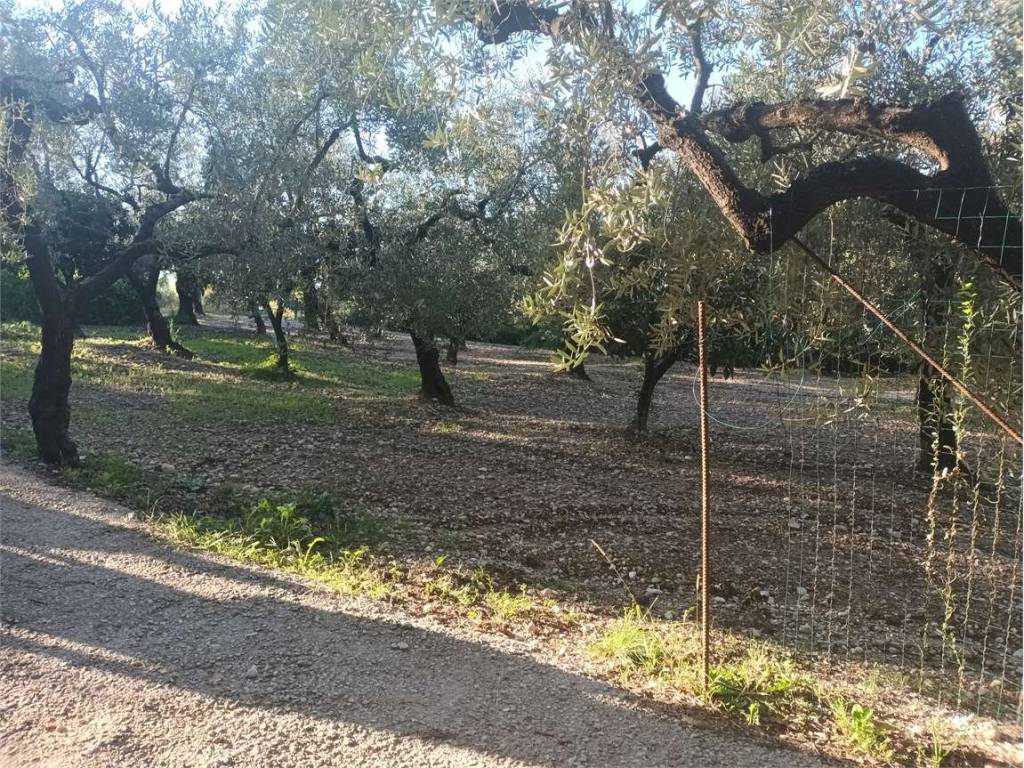 Casa indipendente a Minturno - Foto 3