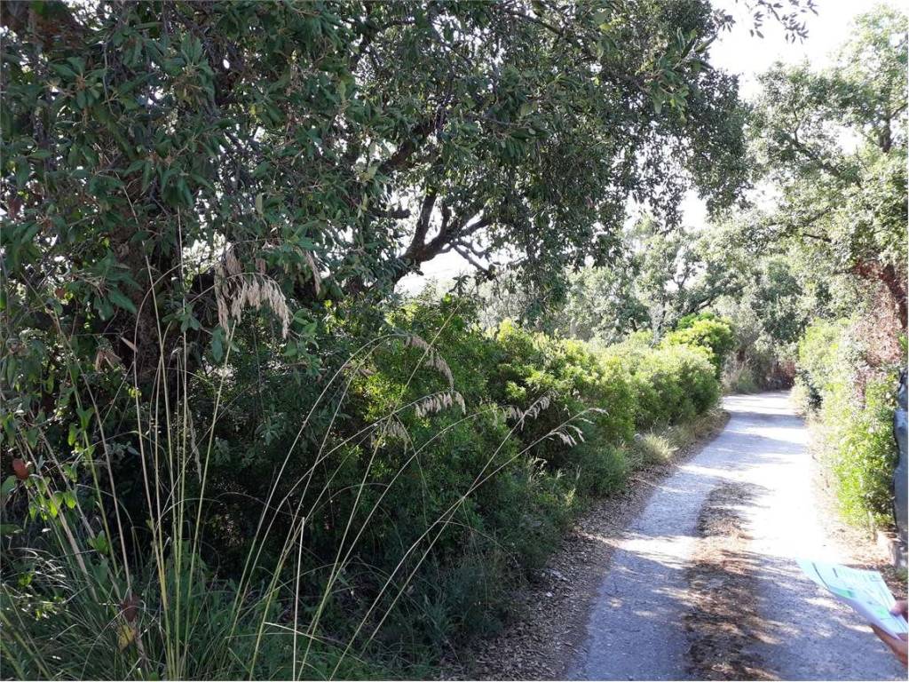 Terreno a Itri - Foto 3