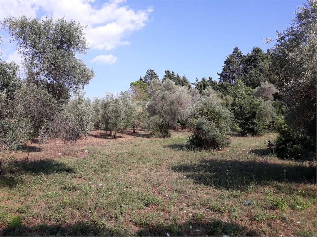 Terreno a Itri - Foto 4