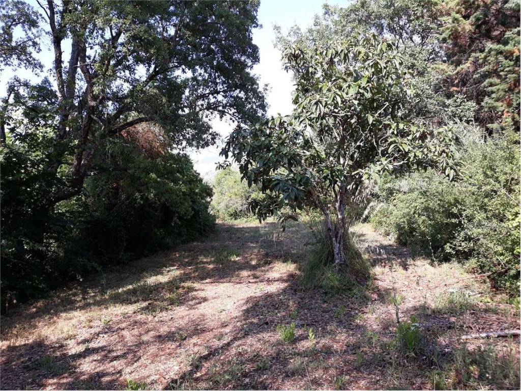 Terreno a Itri - Foto 5
