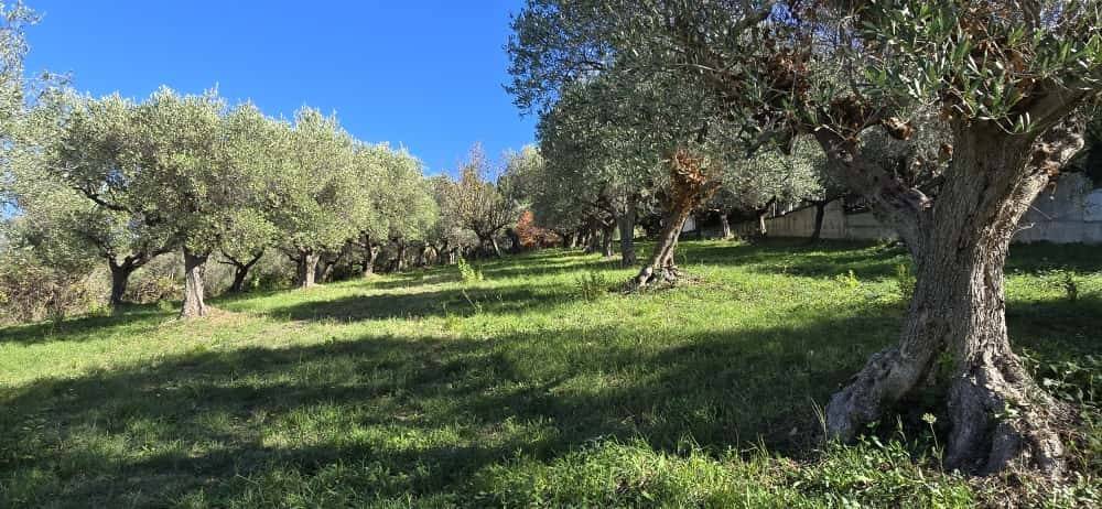 Terreno a Pescara in Strada Vicinale Case delle Monache - Foto 2