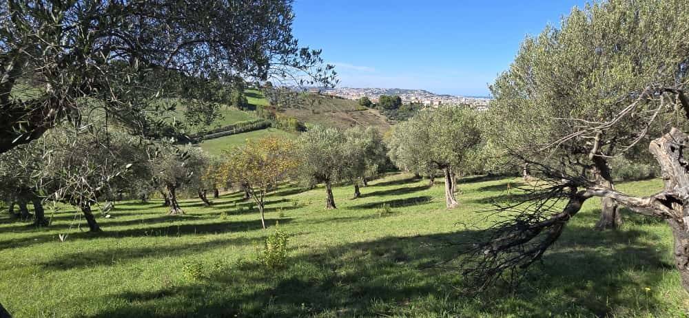 Terreno a Pescara in Strada Vicinale Case delle Monache - Foto 4